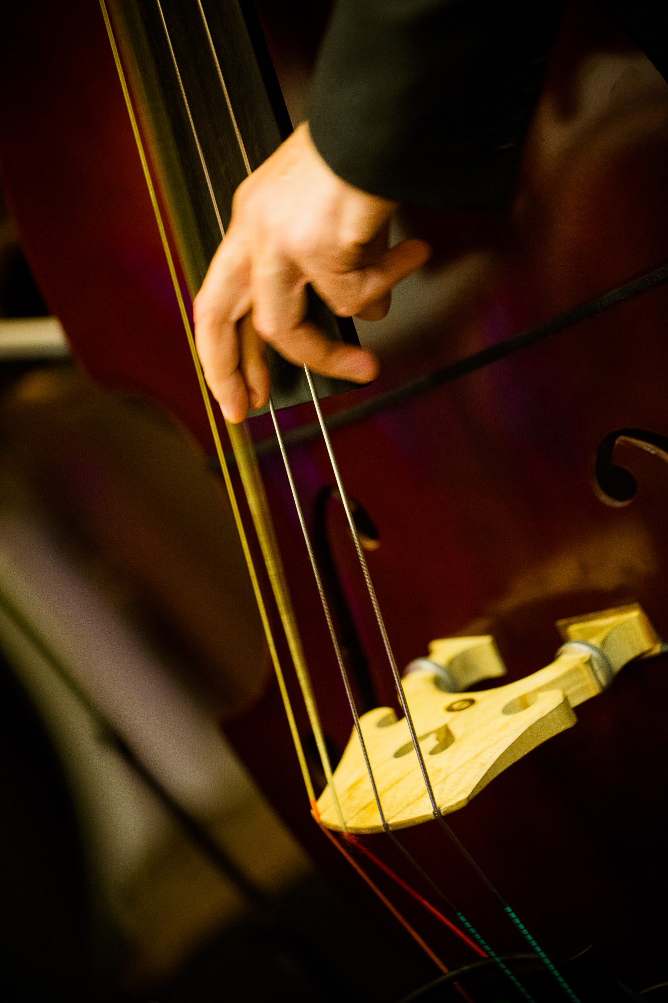 Export x3 1DX 9309 Businessauftrag Complementa 2014